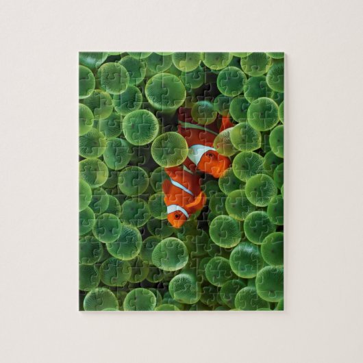 Puzzle de poisson (Vertical)