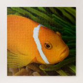 Puzzle de poisson clown (Vertical)