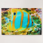 Puzzle de poisson tropical (Horizontal)