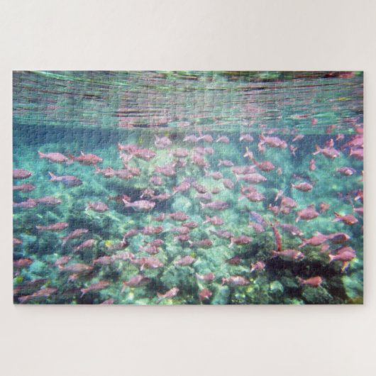 Puzzle de poisson tropical (Horizontal)