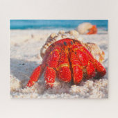 Puzzle de poisson tropical (Horizontal)