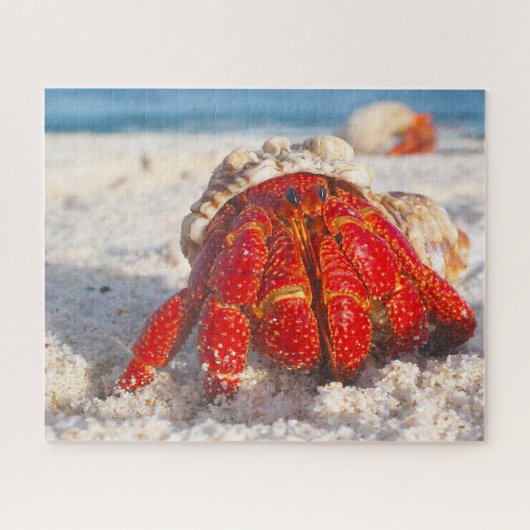 Puzzle de poisson tropical (Horizontal)