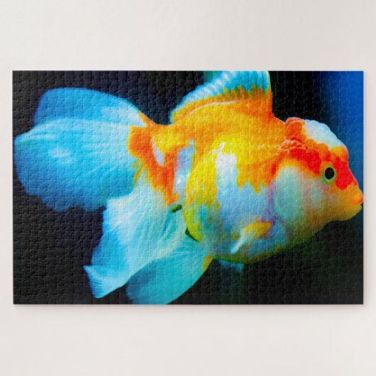 Puzzle de poissons tropicaux (Horizontal)