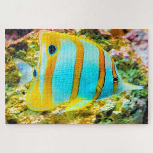 Puzzle de poissons tropicaux (Horizontal)