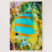 Puzzle de poissons tropicaux (Vertical)