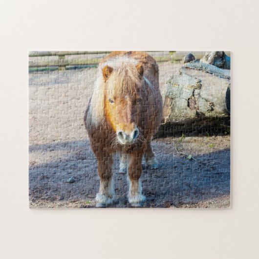 Puzzle de poney des Shetland (Horizontal)