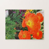 Puzzle de Poppies en Californie par Darin Jones (Horizontal)
