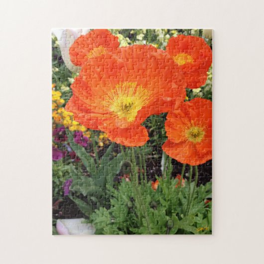 Puzzle de Poppies en Californie par Darin Jones (Vertical)