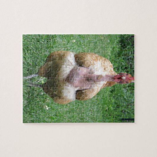 Puzzle de poule de Turken (Horizontal)