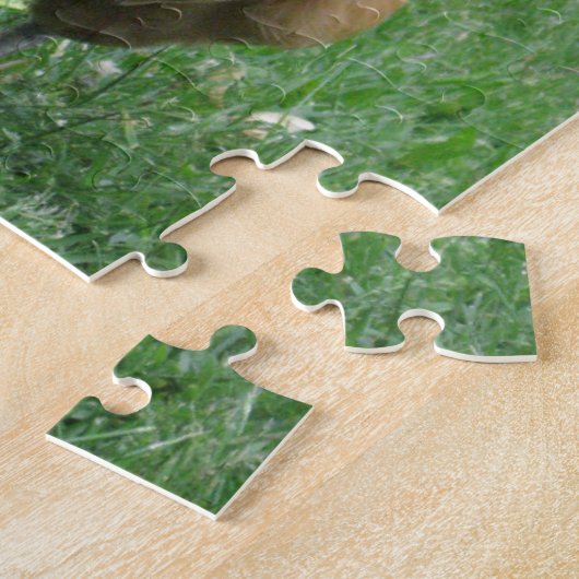 Puzzle de poule de Turken (Côté)