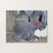 Puzzle de poulet (Horizontal)