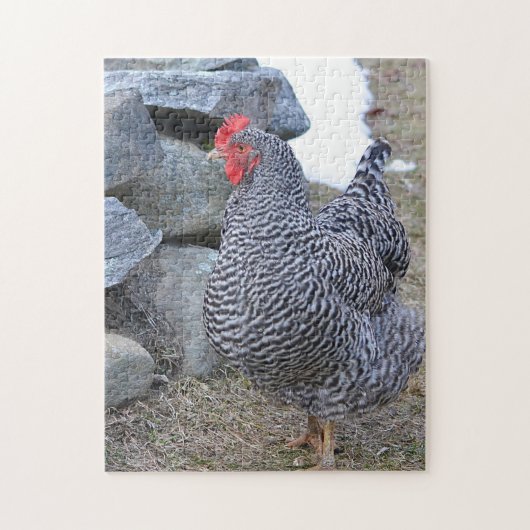 Puzzle de poulet (Vertical)