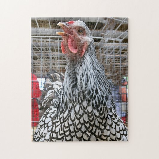 Puzzle de poulet gagnant de prix (Vertical)