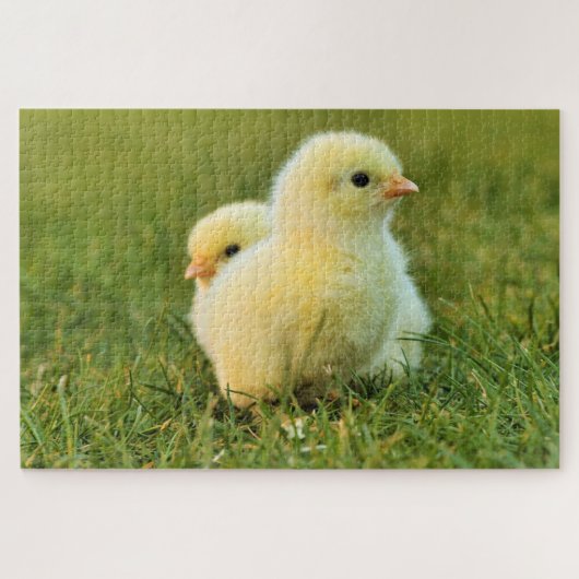 Puzzle de poulet pour bébé (Horizontal)