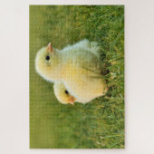 Puzzle de poulet pour bébé (Vertical)