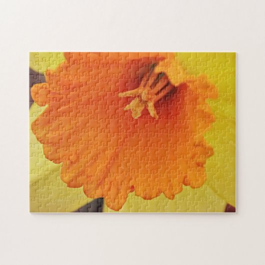 Puzzle de printemps de jonquille orange jaune (Horizontal)