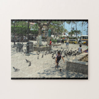 Puzzle de Puerto Vallarta, Jalisco, Mexique