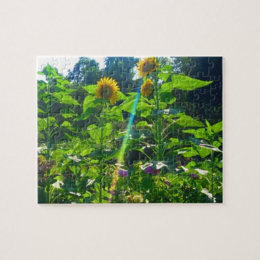 Puzzle de puissance de tournesol (Horizontal)