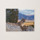 Puzzle de puma (Horizontal)