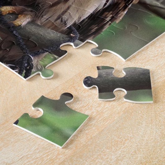 Puzzle de puzzle de Chouette Barred (Côté)