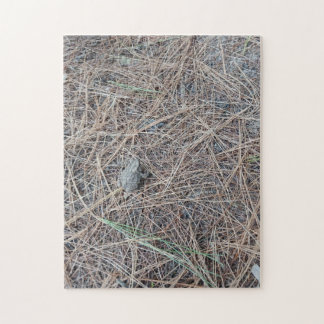 Puzzle de puzzle de crapaud bébé