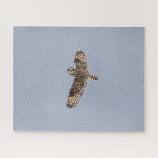 Puzzle de puzzle de hibou à courte portée (Horizontal)