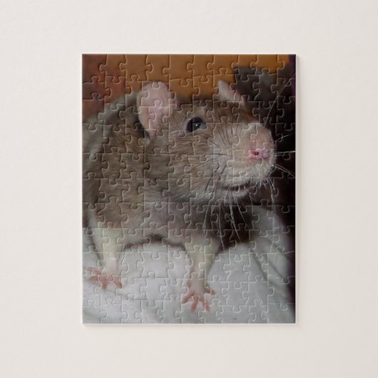 puzzle de rat à rire avec étain (Vertical)