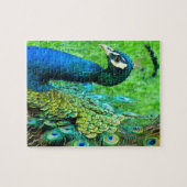 Puzzle de rayonnement de paon (Horizontal)