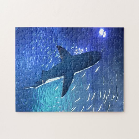 Puzzle de requin (Horizontal)