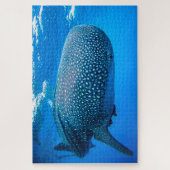 Puzzle de Requins Baleines (Vertical)