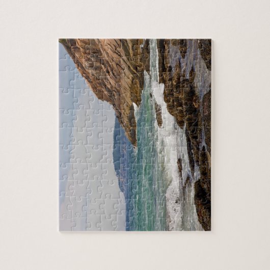 Puzzle de rivage d'Acadia (Vertical)