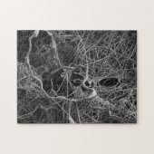 Puzzle de sac à oeufs d'araignée (Horizontal)