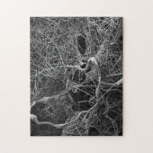 Puzzle de sac à oeufs d'araignée (Vertical)