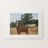 Puzzle de Saddlebred d'Américain (Horizontal)