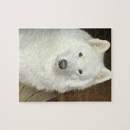 Puzzle de Samoyed (Horizontal)