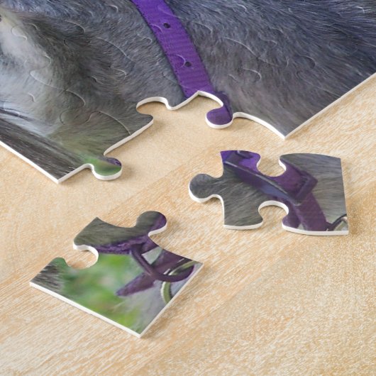 Puzzle de Schnauzer (Côté)