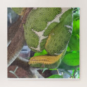 Puzzle de serpent (Horizontal)