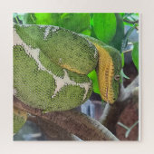 Puzzle de serpent (Vertical)