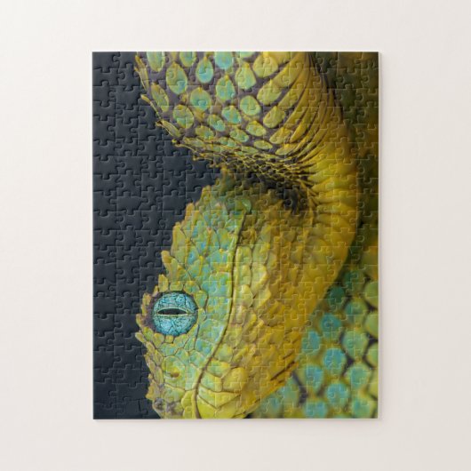 Puzzle de serpent - Beau vert (Vertical)