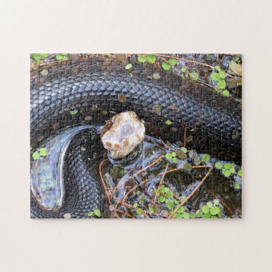 Puzzle de serpent de Cottonmouth (Horizontal)