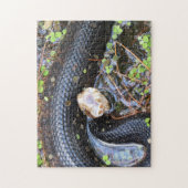 Puzzle de serpent de Cottonmouth (Vertical)