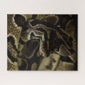 Puzzle de serpent dur (Horizontal)