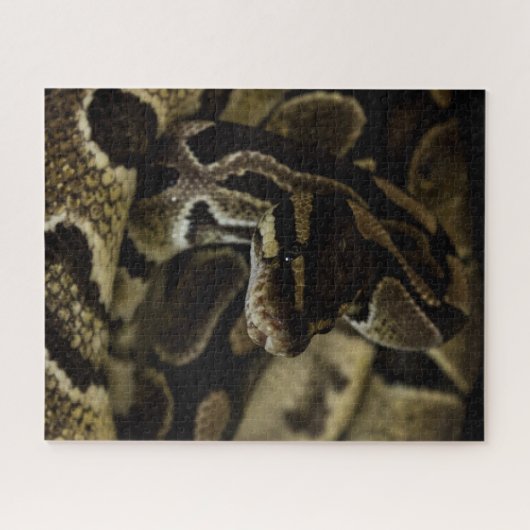 Puzzle de serpent dur (Horizontal)