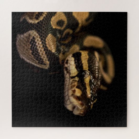 Puzzle de serpent extrêmement difficile (Horizontal)