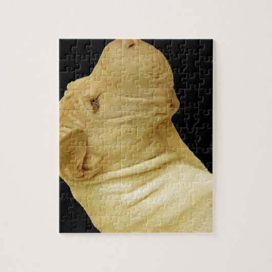 Puzzle de Shar-Pei de Chinois (Vertical)