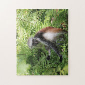 Puzzle de singe (Vertical)