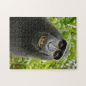 Puzzle de singe (Horizontal)