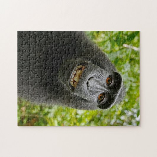 Puzzle de singe (Horizontal)