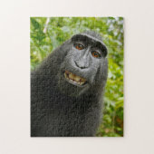 Puzzle de singe (Vertical)