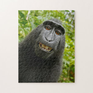 Puzzle de singe